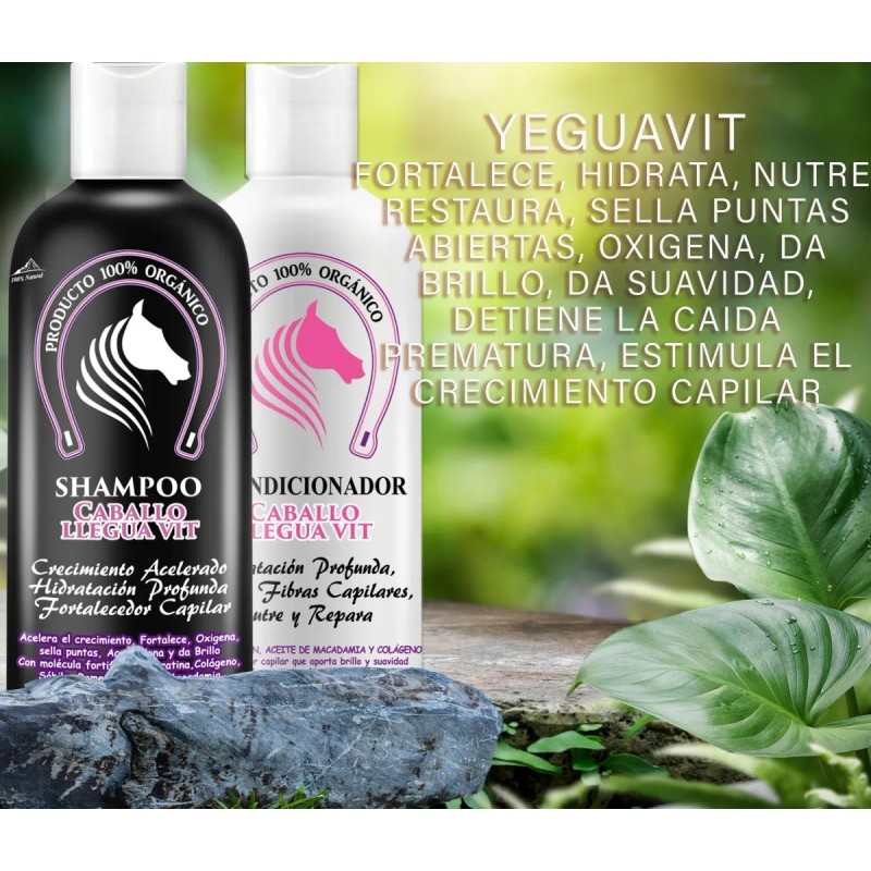 Shampoo Extracto Cola Caballo Crema Colágeno