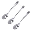 Takagi TAKAGI Antibacterial Stainless Steel Large Tea Spoon, Set of