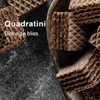 Loacker Quadratini Double Choc Wafer Cookies LARGE - 30% Less