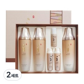 Danahan Bonyeonjin 2-piece special set (2 skins + 1 lotion), 2 sets / 다나한 본연진 2종 특별기획세트(스킨2개+로션1개), 2세트