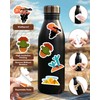 Travel Stickers for Water Bottles: 100pcs Desert Stickers Cactus Stickers