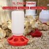 OUYOLAD Chicken Feeder Barrel Bird Drinking Poultry Diet Tool Quail