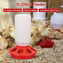 OUYOLAD Chicken Feeder Barrel Bird Drinking Poultry Diet Tool Quail Drinking Pigeon Feeder Chicken Eating Equipment Plastic Feeder for Quails, Chicks and Hens 1kg
