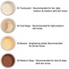 AQUAPURITY - PHOERA Loose Makeup Setting Matte Face Powder +