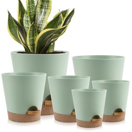 YNNICO YNNICO Indoor Self Watering Planters with Drainage Holes and Saucers, 8, 7, 6.5, 6, 5.5, 5 Inches, Green, 6 Pots