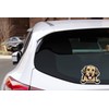 Golden Retriever Peeking Paws Sticker (2 Pack) 4” x 3.5”