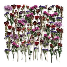 Floral Botanical Stickers 30 Pack Transparent Vinyl Laptop Waterproof Decals for Water Bottles Skateboard Computer Cars Luggage Phone Graffiti Stickers Pack for Teens Girls Kids Adults(Flower Decals)