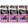 【3個セット】野口サプリメントシリーズ ブルーベリー&ルテイン 目の疲れ ブルーベリー 60粒（約30日分）