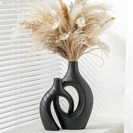 Home Decor （VYD）XL Black Ceramic Vase Sets of 2 for Modern Home Decor, Eclectic Entryway