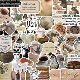 Dark Aesthetics Water Bottle Stickers,100 PCS Retro Cute Style Stickers Pack for Laptop Phone Skateboard Bicycle Suitcase Luggage Car Guitar,Waterproof Aesthetic Vinyl Stickers for Teens