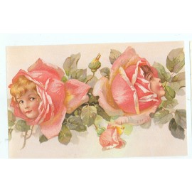 FANTASY FACES IN PINK ROSE FLOWER ON POSTCARD REPRO (SA413*)