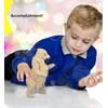 Puzzled Grizzly Bear 3D Natural Wood Puzzle