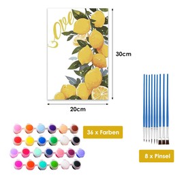 4-Piece Lemon Paint by Numbers Set, DIY Lemon Hand Painted Oil Painting Kit for Adults, Children and Beginners with Brush, Acrylic Pigment and Hanger, Kitchen, Home Decoration Gift, Unframed (20 x 30