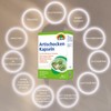 SUNLIFE Artichoke Capsules, 60 Capsules