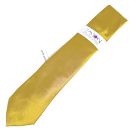 Tayion by Montee Holland Tie Mens Gold Solid Necktie Formal One Size NWT