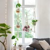 THJOPOKEEL Lainel Plaster Hooking The Indoor Wall -Mounted Flowerpot Basket