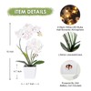 HOMESEASONS Orchid Lamp-LED Lighted Orchid Arrangements,Pre Lit Artificial Orchid,Light Up