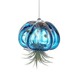 H&D HYALINE & DORA Blown Glass Jellyfish Hanging Air Planter, Cute Blue Jellyfish Air Plant Holder Gifts for Women Room Garden Wedding Party Decor (No Plants)