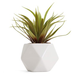 Bornbridge Artificial Succulent - Fake Succulent in Planter - Faux Succulent with Ceramic Geometric Planter - Artificial Potted Plant (1 Pack, Mini Agave)