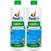 Poolife AlgaeKill II (1 qt) (2)