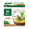 GEX AQUARIUM Glass Aqua Drop-N Aquarium, Small Aquarium, Aquatic Plant,
