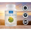 Sunergetic Berberine Supplement-1200mg of Berberine HCI Per Serving-60 Capsules