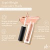 Glo Skin Beauty Luminous Brightening Concealer Makeup - Conceals Dark