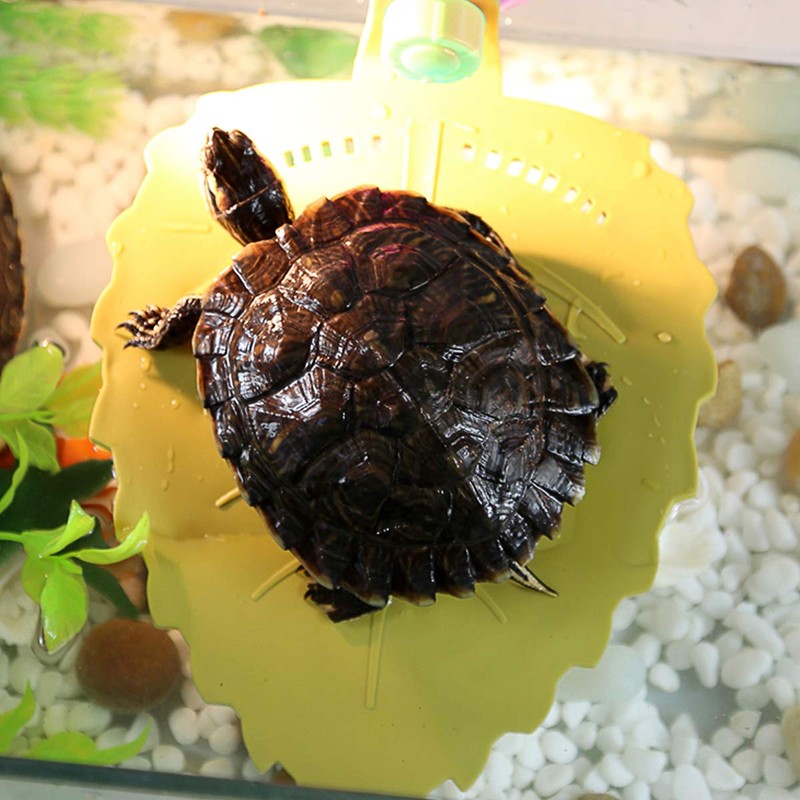 WEAVERBIRD Turtle Terrace Basking Platform Small or Amphibian Turtle Frog
