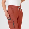 Wink Women's Jogger Scrub Pant, Mineral Red