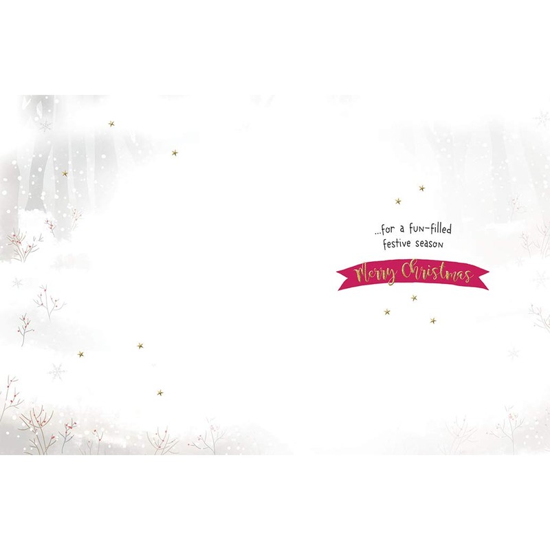 Piccadilly Greetings Cute (Photo) Christmas Card Cousin - 8 x