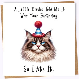 Printperfect Cat Birthday Card For Friend – Funny Birthday Cards for Men and Women – For Mum Dad Grandpa Nana - Him Her - Sister Birthday Humour Joke Card