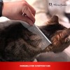 Warren London Cool Cat Comb