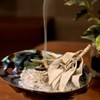 GOLD STONE White Sage with Branches, Cluster, Unselected, 1.8 oz