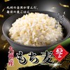 Ishibashi Kogyo Kyushu-grown Glutinous Wheat 800g