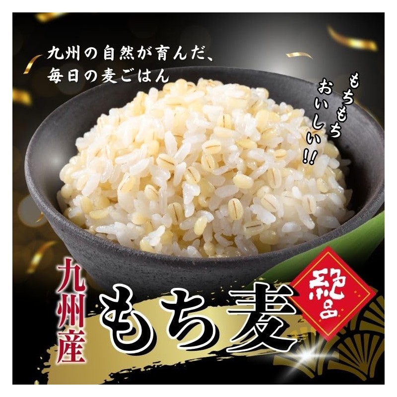 Ishibashi Kogyo Kyushu-grown Glutinous Wheat 800g