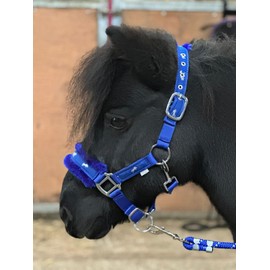 Equipride Horse Print Fur Padded Nylon Headcollars with Lead Rope Royal Blue (Pony)