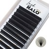 Easy Fans Eyelash Extensions 0.07 D Curl *NO PINCHING REQUIRED*