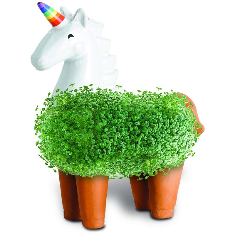 Chia CP437-01 Pet Unicorn Decorative Pottery Planter, Easy to Do