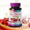 Holidays Montmorency Tart Cherry 120 Tablets, 3 Bottles (Total 12-Month