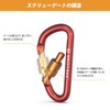 Brotree Carabiner Keychain D-Ring Clip Back Hanger Aluminum Alloy Screw