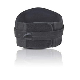 ProLite Lo Plus Lumbar Support - Small - 7456300