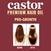 Hair Chemist Estimulador Cuero Cabelludo Aceite Ricino Pro Growth
