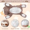 SQEQE Weighted Sloth Plush, Soft Weighted Stuffed Animals Pillow, Cute