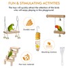 Parrot Swing & Perch Toys for Bird Cages - Hanging
