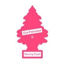 LITTLE TREES Car Air Freshener | Hanging Paper Tree for Home or Car | Morning Fresh | One per Pack