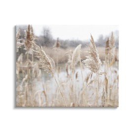 Stupell Industries Rural Pampas Grass Reeds Lakeside Pond Marsh Canvas Wall Art, Design By Kim Allen