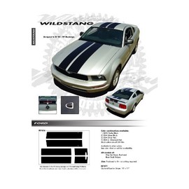 CarBeyondStore Compatible with Ford Mustang 2005 to 2009 Wildstang Dual Stripe Graphic Kit Gloss Black
