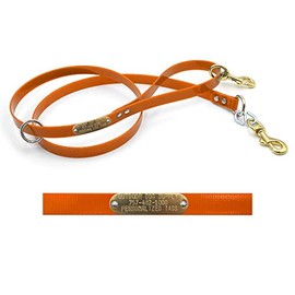 Outdoor Dog Supply's 5' DayGlow Dog Leash with Custom Brass Name Plate (Orange)