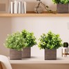 Suzile 24 Set Wooden Planter Box Square Wood Flower 4