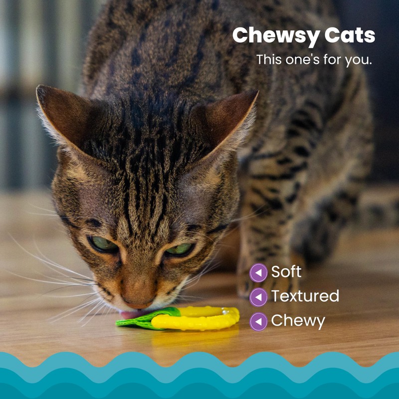Catstages Dental Lemon Teether, Soft and Textured Cat Chew Toy,